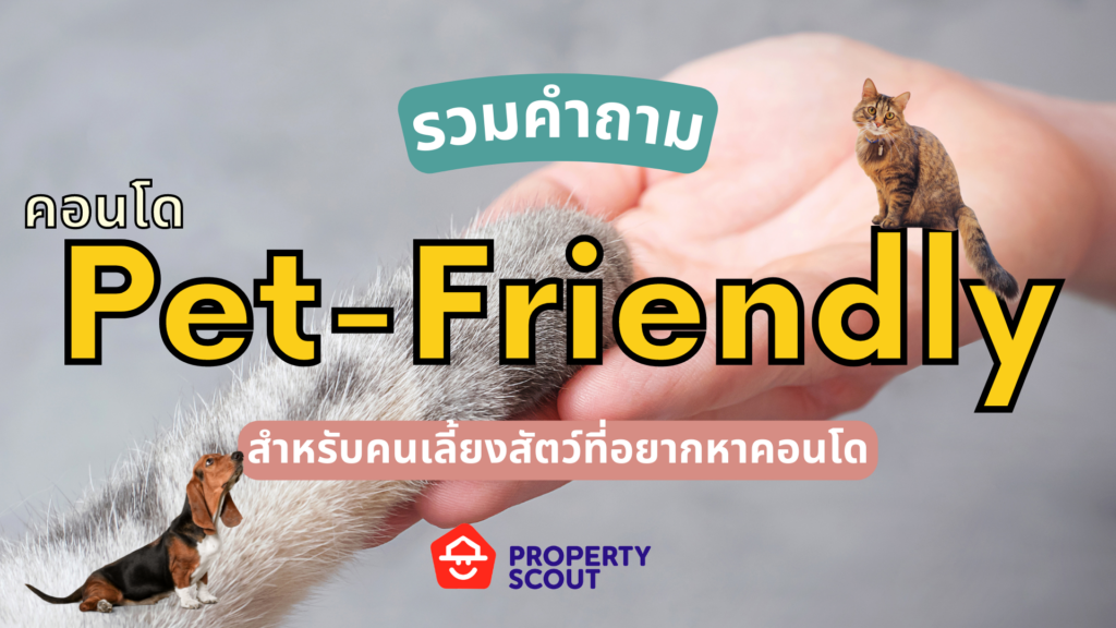 คำถาม Pet Friendly