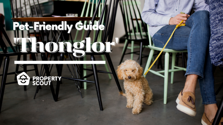 The Fun Continues Which Are The Best Pet Friendly Condos Photo Inspiration