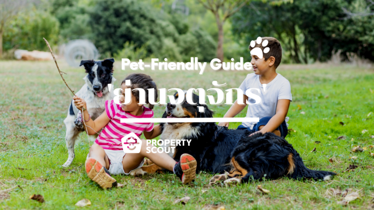 Pet-Friendly Guide Pt.8! ‘ย่านจตุจักร’