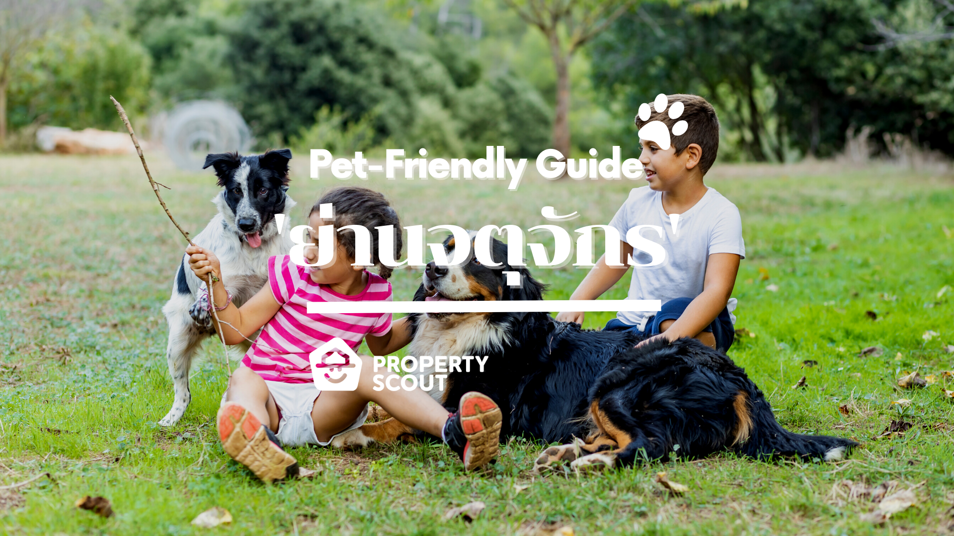 Pet-Friendly Guide Pt.8! ‘ย่านจตุจักร’ แอเรียสีเขียวเพื่อเจ้าขนปุย!
