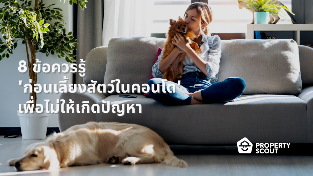 8-ข้อควรรู้-ก่อนเลี้ยงสัตว์ในคอนโด-เพื่อไม่ให้เกิดปัญหา