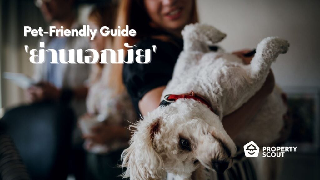 Pet-Friendly Guide Pt.1 ! รวมคอนโดและสถานที่สำหรับคนรักสัตว์ 'ย่านเอกมัย' |  Propertyscout Blog