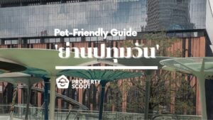 Pet-Friendly Guide Pt.10 ! พาเพื่อนขนฟูย้ายไปอยู่ 'ย่านปทุมวัน' ทำเลระดับ Prime ใจกลางเมือง-Featured