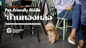 Pet-Friendly Guide Pt.2 ! ‘ย่านทองหล่อ’ จะมีที่ไหนน่าอยู่สำหรับเรากับเพื่อนขนฟูกันบ้างนะ?