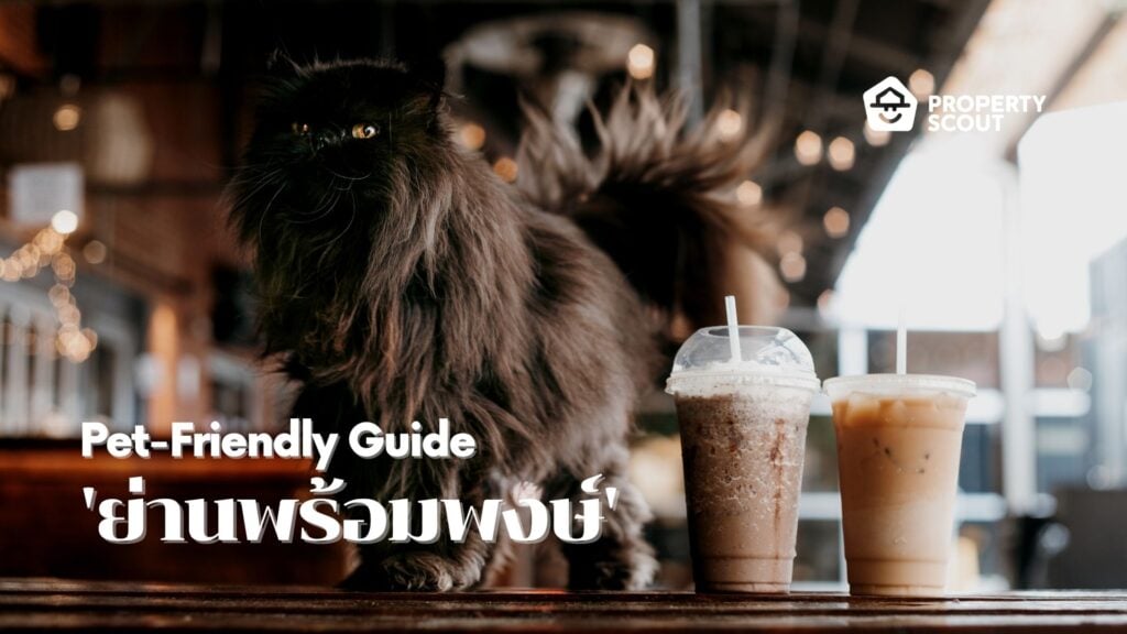 Pet-Friendly-Guide-Pt.3-พาเพื่อนขนฟูย้ายไปอยู่-พร้อมพงษ์-กันดีกว่า