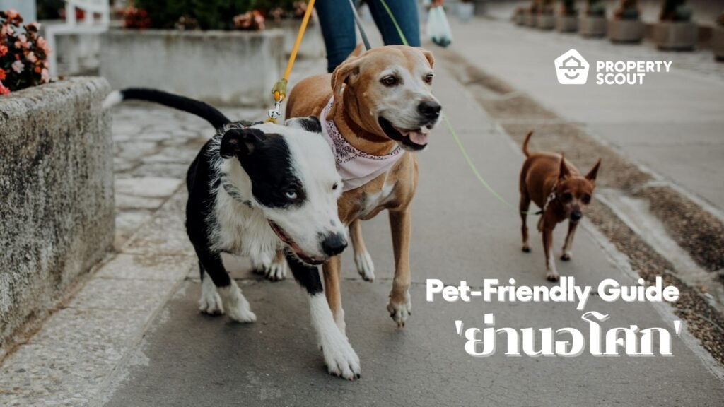 Pet-Friendly-Guide-Pt.4-รวมคอนโด-โลเคชั่นแฮงค์เอ้าท์-ย่าน-อโศก-สำหรับทาสหมาทาสแมว