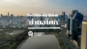 Pet-Friendly Guide Pt.4 ! รวมคอนโด โลเคชั่นแฮงค์เอ้าท์ ย่าน 'อโศก' สำหรับทาสหมาทาสแมว-Featured