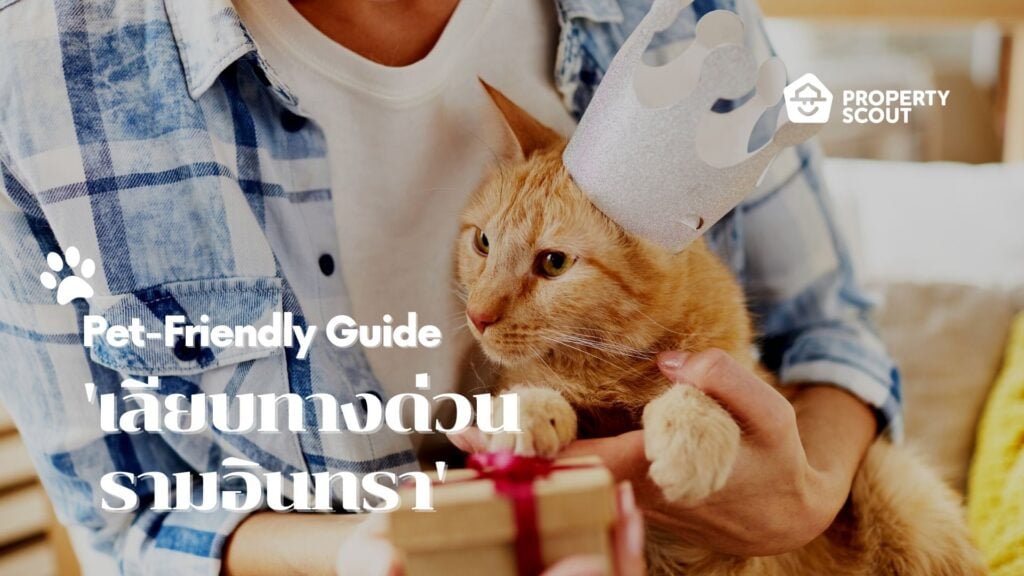 Pet-Friendly-Guide-Pt.7-ย่าน-เลียบทางด่วนรามอินทรา-ทำเลคุณภาพ-เงียบสงบแต่ไม่ขาดสีสัน-2