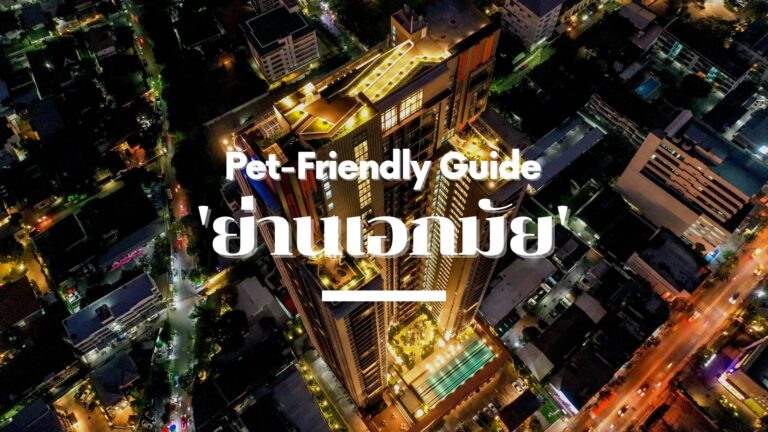 Pet-Friendly Guide Pt.1 ! รวมคอนโดและสถานที่สำหรับคนรักสัตว์ ‘ย่านเอกมัย’