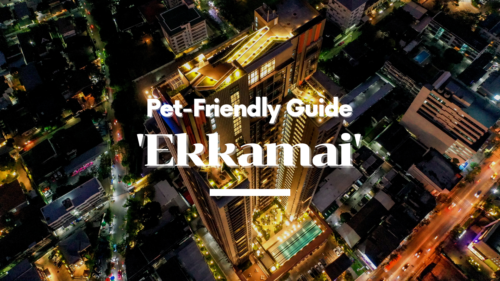 Unleash the Fun: Discover the Best Pet-Friendly Condos and Hangout Spots in Ekkamai