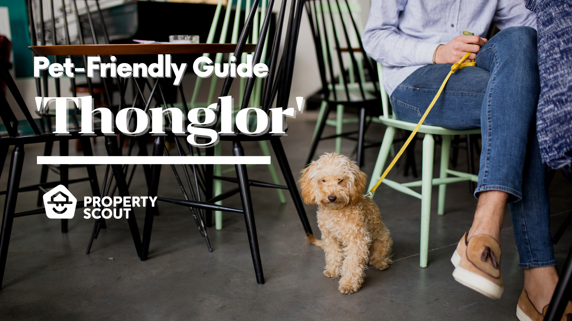 The Fun Continues: Which are the best Pet-Friendly Condos and Hangout Spots in Thonglor?