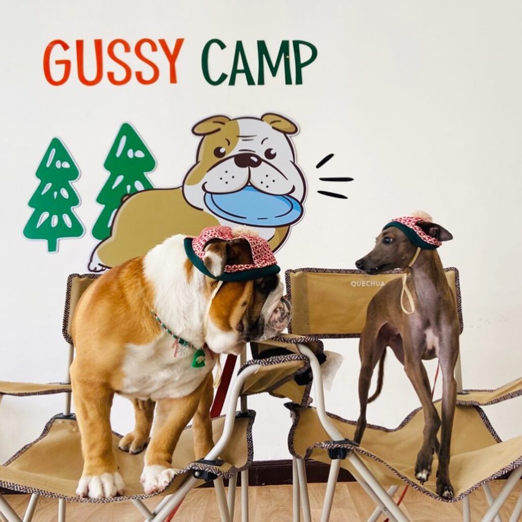 GUSSY CAMP