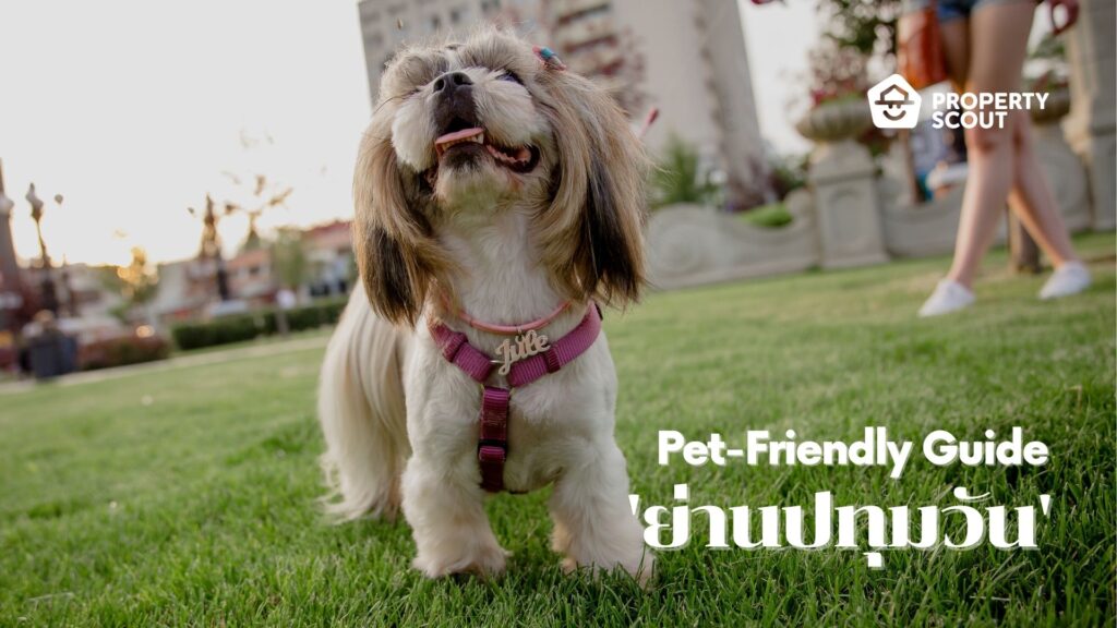 Pet-Friendly-Guide-Pt.10-พาเพื่อนขนฟูย้ายไปอยู่-ย่านปทุมวัน-ทำเลระดับ-Prime-ใจกลางเมือง