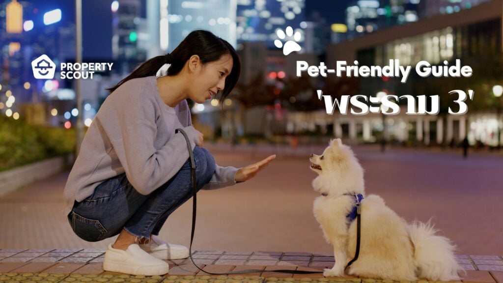 Pet-Friendly-Guide-Pt.11-พระราม-3-ทำเลน่าอยู่-ใกล้ตัวเมือง-ติดริมน้ำเจ้าพระยา