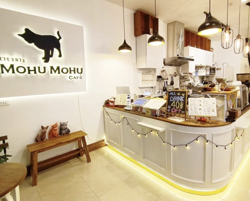 Pet-Friendly-Mohu-Mohu-Cafe