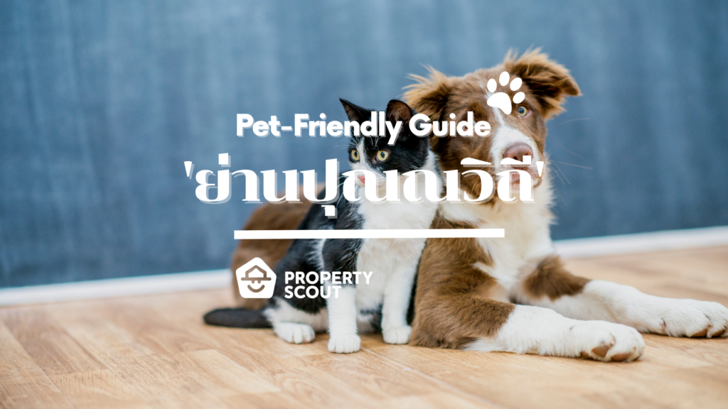 Pet-Friendly Guide Pt.9! ‘ย่านปุณณวิถี’ ทำเลถูกใจเจ้านาย พร้อมสิ่งอำนวยความสะดวกจัดเต็ม~