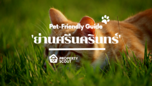 Pet-Friendly Guide Pt.12! ‘ย่านศรีนครินทร์’