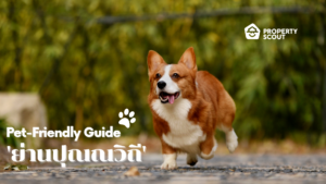 Pet-Friendly Guide Pt.9! ‘ย่านปุณณวิถี’ ทำเลถูกใจเจ้านาย พร้อมสิ่งอำนวยความสะดวกจัดเต็ม~