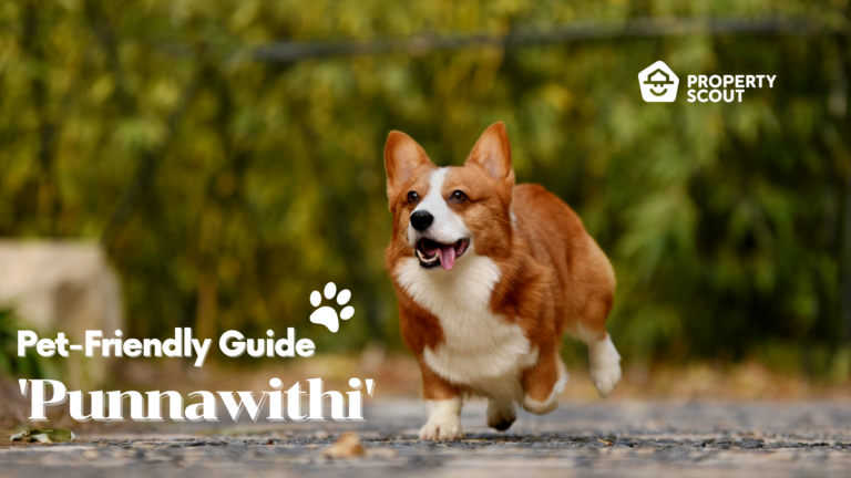 Pet-Friendly Guide Pt.9: Amenities to the Max at “Punnawithi”