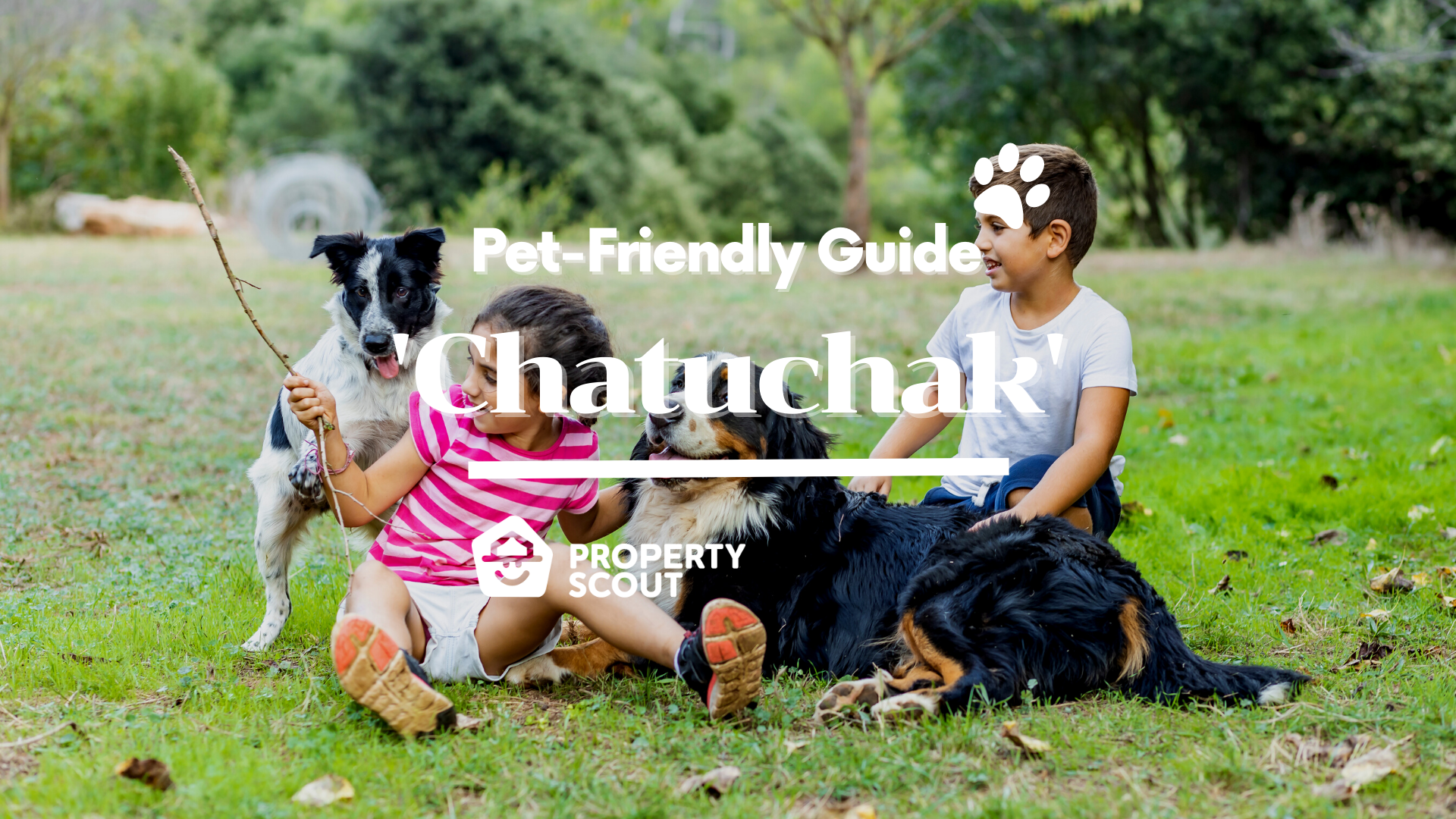 Pet-Friendly Guide Pt.8: Chatuchak and its Naturalistic Green Scenery for your Furry Pals!