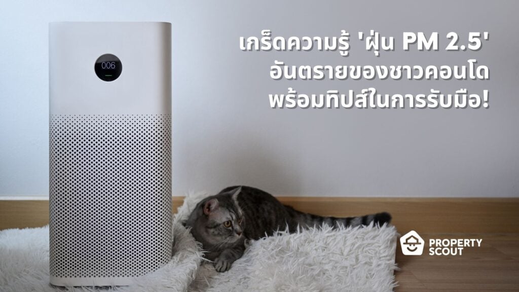 เกร็ดความรู้-ฝุ่น-PM-2.5-อันตรายของชาวคอนโด-พร้อมทิปส์ในการรับมือ