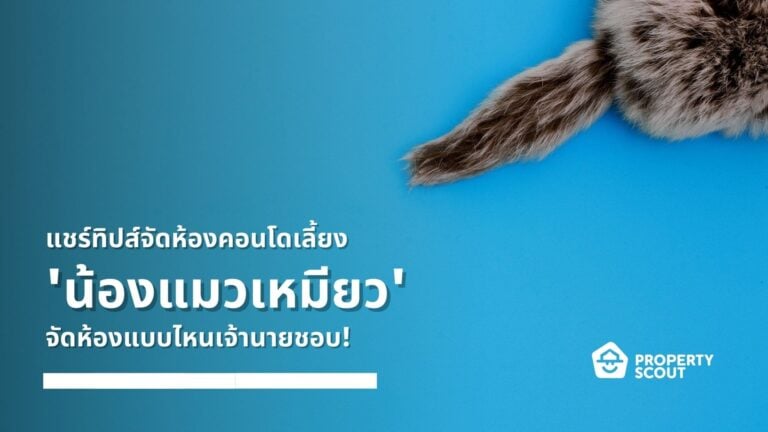 แชร์ทิปสจัดห้องคอนโด-เลี้ยงน้องแมวเหมียว-Featured