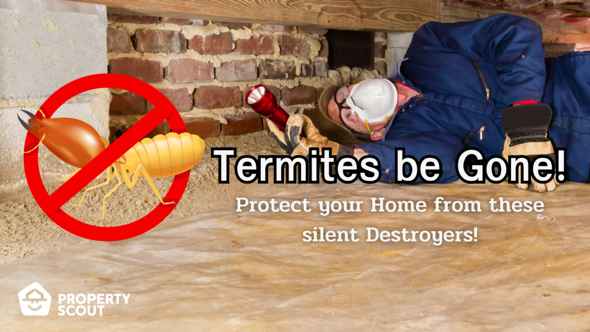 Silent but Deadly Protect your Home from Termites!