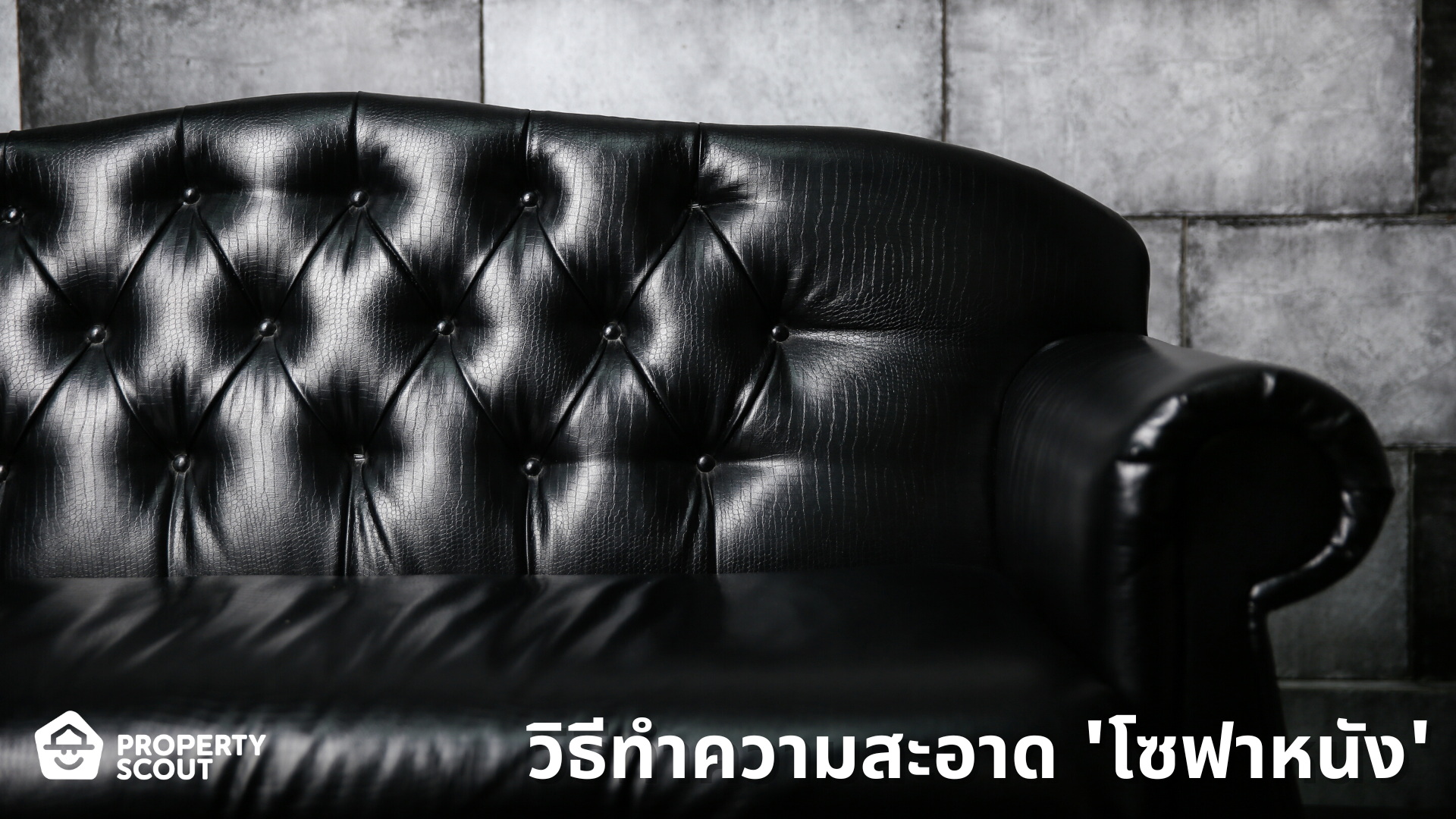 ทำความสะอาดโซฟาหนังง่าย ๆ ในราคาประหยัด ทำยังไง? | Propertyscout Blog