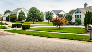 Suburban Serenity vs. Urban Buzz: Pros and Cons for Homebuyers