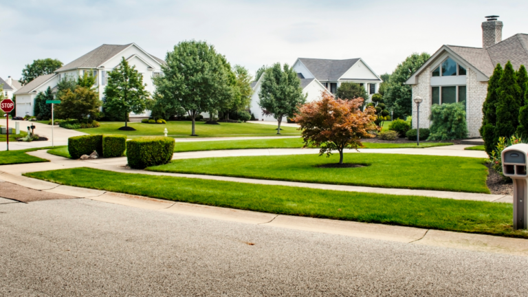 Suburban Serenity vs. Urban Buzz: Pros and Cons for Homebuyers