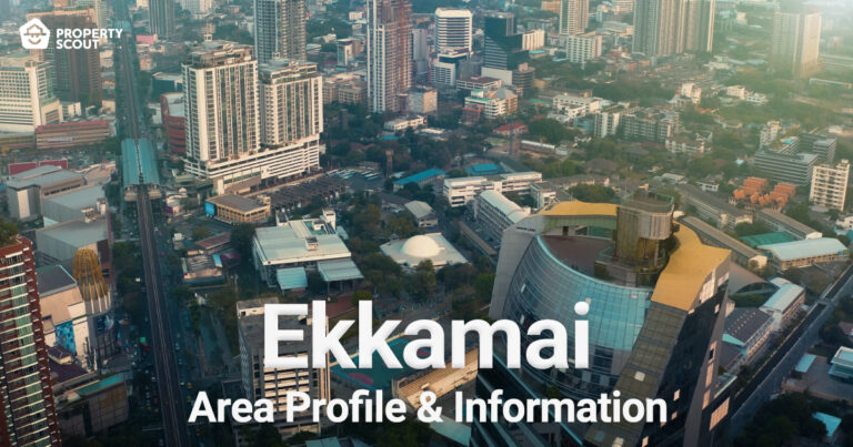 Ekkamai Area Profile and Information