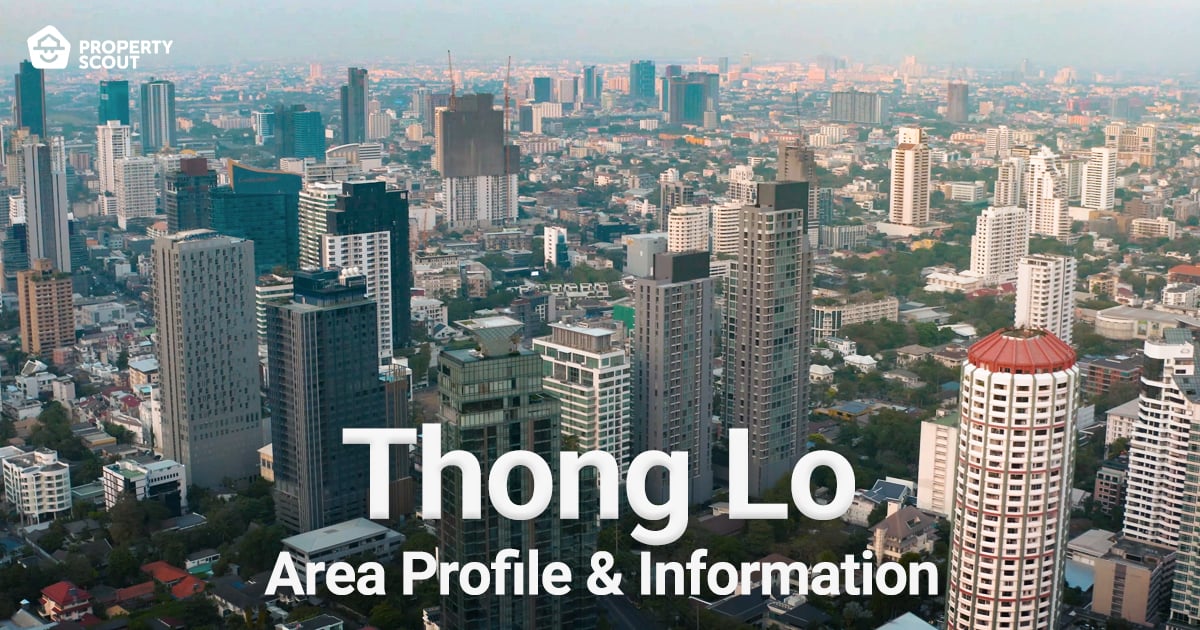 Thong Lo Area Profile and Information