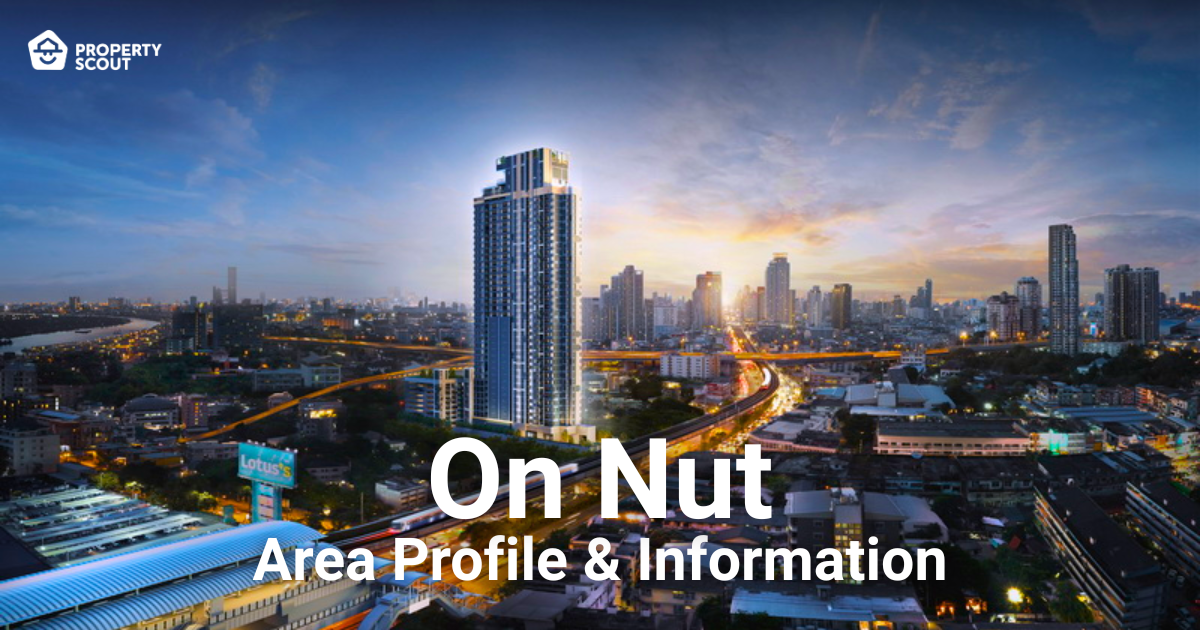 On Nut Area Profile & Information